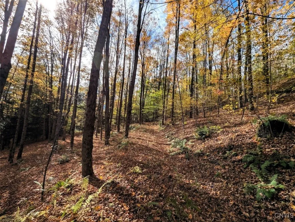 Akins Road North, Cohocton, New York 14826, Cohocton, New York 14826, ,Land,For Sale,Akins Road North, Cohocton, New York 14826,0,S1645651