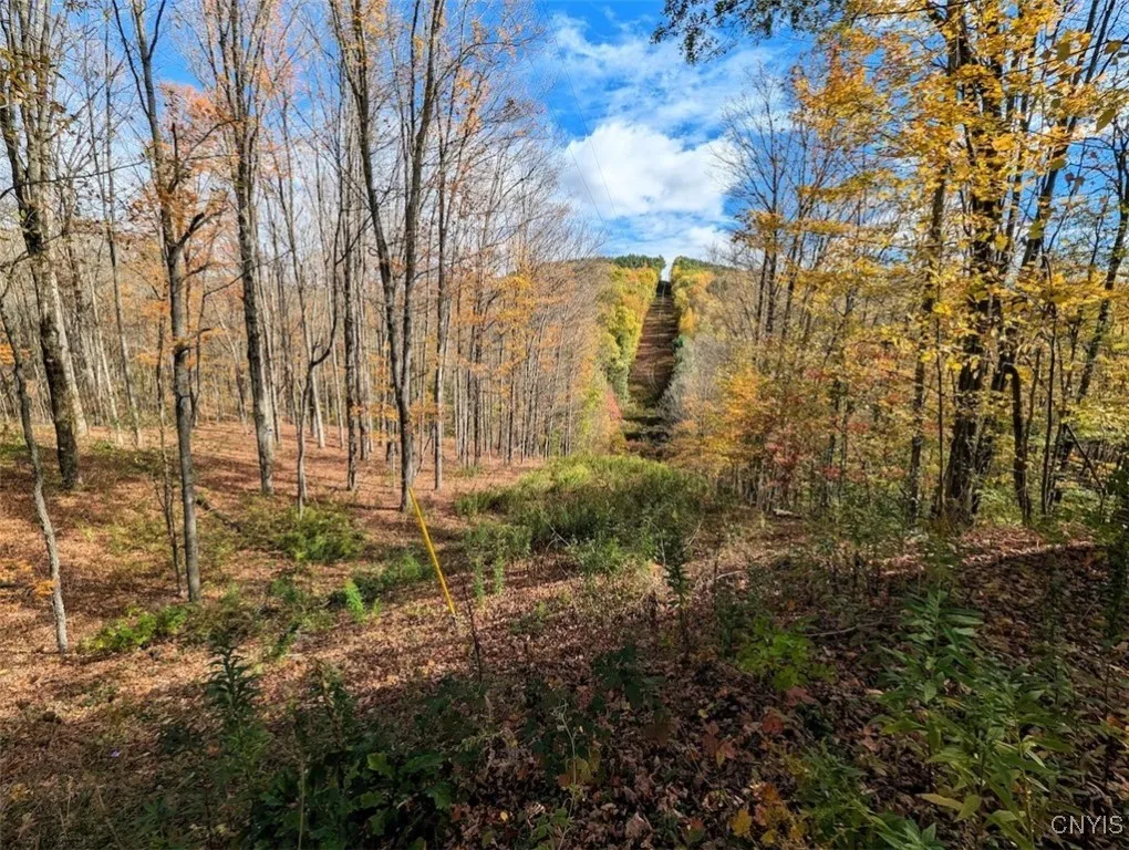 Akins Road North, Cohocton, New York 14826, Cohocton, New York 14826, ,Land,For Sale,Akins Road North, Cohocton, New York 14826,0,S1645651