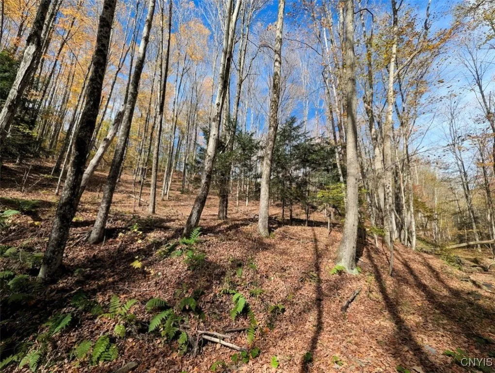 Akins Road North, Cohocton, New York 14826, Cohocton, New York 14826, ,Land,For Sale,Akins Road North, Cohocton, New York 14826,0,S1645651