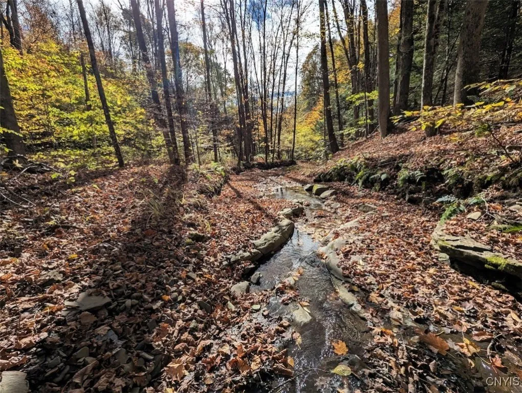 Akins Road North, Cohocton, New York 14826, Cohocton, New York 14826, ,Land,For Sale,Akins Road North, Cohocton, New York 14826,0,S1645651