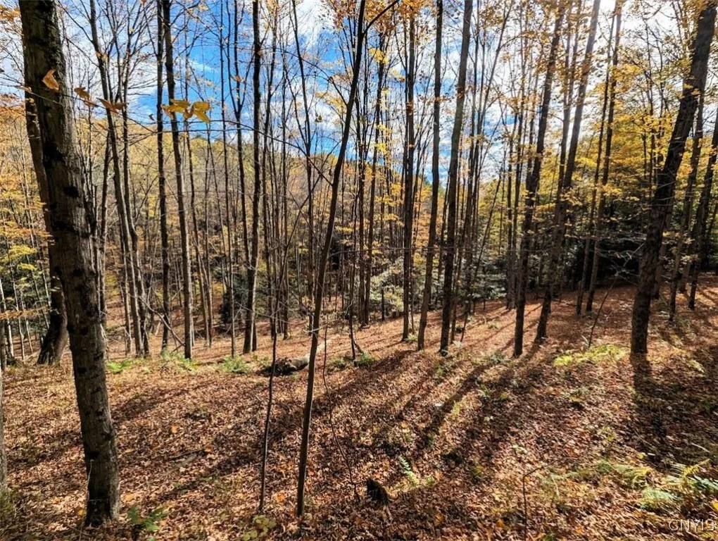 Akins Road North, Cohocton, New York 14826, Cohocton, New York 14826, ,Land,For Sale,Akins Road North, Cohocton, New York 14826,0,S1645651