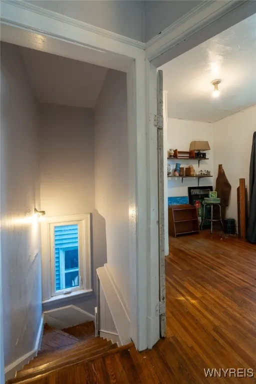 86 Garner Avenue, Buffalo, New York 14213, Buffalo, New York 14213, 4 Bedrooms Bedrooms, 9 Rooms Rooms,2 BathroomsBathrooms,Residential,For Sale,86 Garner Avenue, Buffalo, New York 14213,0,B1645635 86 Garner Avenue, Buffalo, New York 14213, Buffalo, New York 14213, 4 Bedrooms Bedrooms, 9 Rooms Rooms,2 BathroomsBathrooms,Residential,For Sale,86 Garner Avenue, Buffalo, New York 14213,0,B1645635