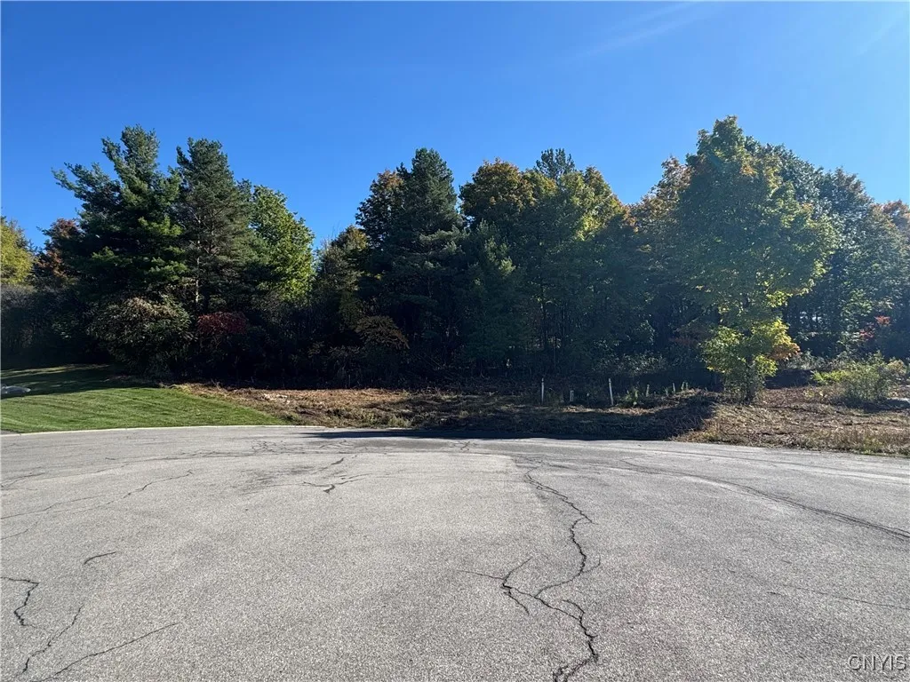 5875 Quarter Moon Drive, Onondaga, New York 13078, Onondaga, New York 13078, ,Land,For Sale,5875 Quarter Moon Drive, Onondaga, New York 13078,0,S1645086