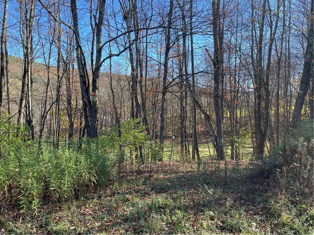 823 County Highway 34, Maryland, New York 12155, Maryland, New York 12155, 5 Bedrooms Bedrooms, 10 Rooms Rooms,1 BathroomBathrooms,Residential,For Sale,823 County Highway 34, Maryland, New York 12155,0,R1642222