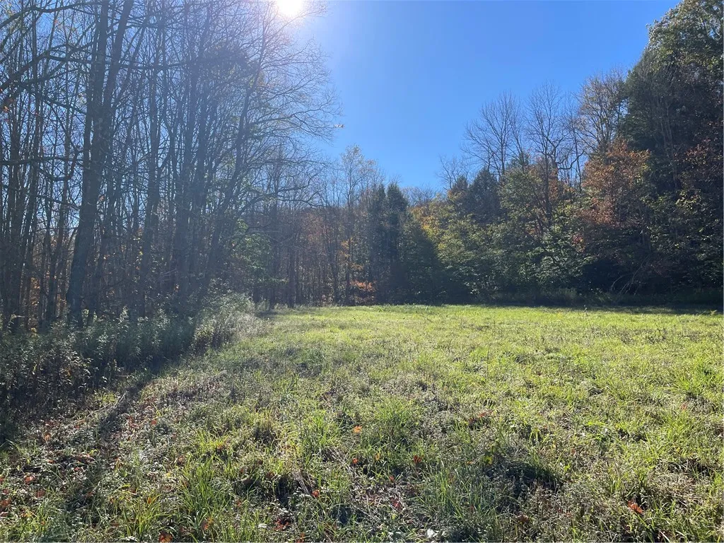 823 County Highway 34, Maryland, New York 12155, Maryland, New York 12155, 5 Bedrooms Bedrooms, 10 Rooms Rooms,1 BathroomBathrooms,Residential,For Sale,823 County Highway 34, Maryland, New York 12155,0,R1642222