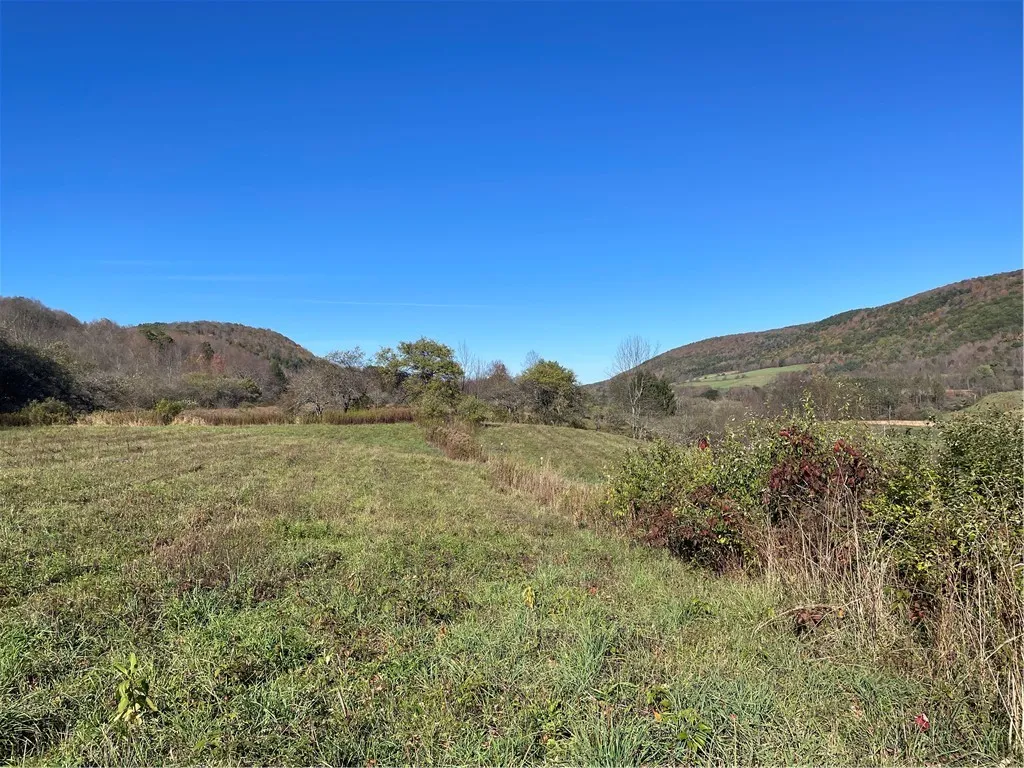 823 County Highway 34, Maryland, New York 12155, Maryland, New York 12155, 5 Bedrooms Bedrooms, 10 Rooms Rooms,1 BathroomBathrooms,Residential,For Sale,823 County Highway 34, Maryland, New York 12155,0,R1642222