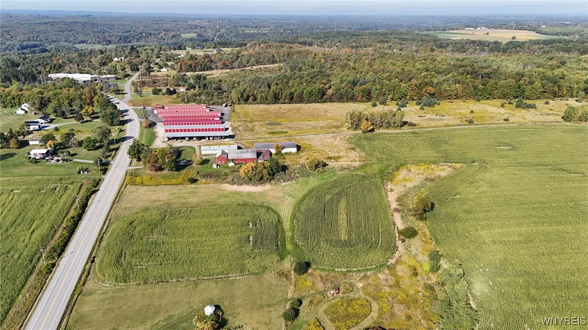 13050 Big Tree Rd Road, Wales, New York 14052, Wales, New York 14052, 4 Bedrooms Bedrooms, 7 Rooms Rooms,1 BathroomBathrooms,Residential,For Sale,13050 Big Tree Rd Road, Wales, New York 14052,0,B1645316