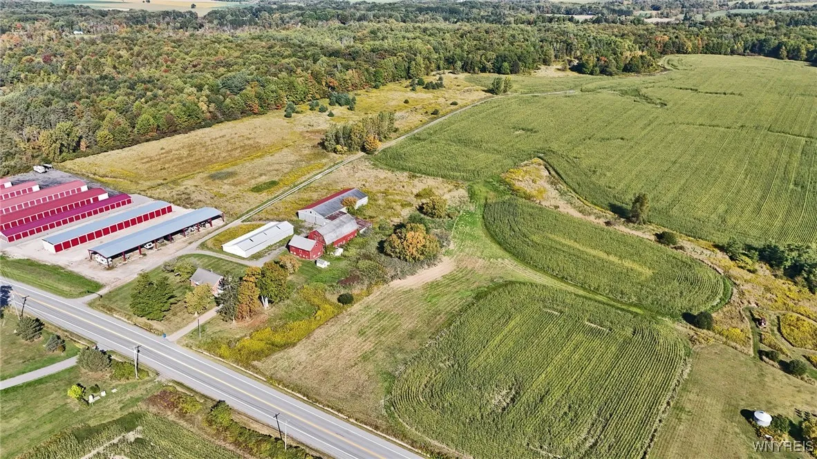 13050 Big Tree Rd Road, Wales, New York 14052, Wales, New York 14052, 4 Bedrooms Bedrooms, 7 Rooms Rooms,1 BathroomBathrooms,Residential,For Sale,13050 Big Tree Rd Road, Wales, New York 14052,0,B1645316