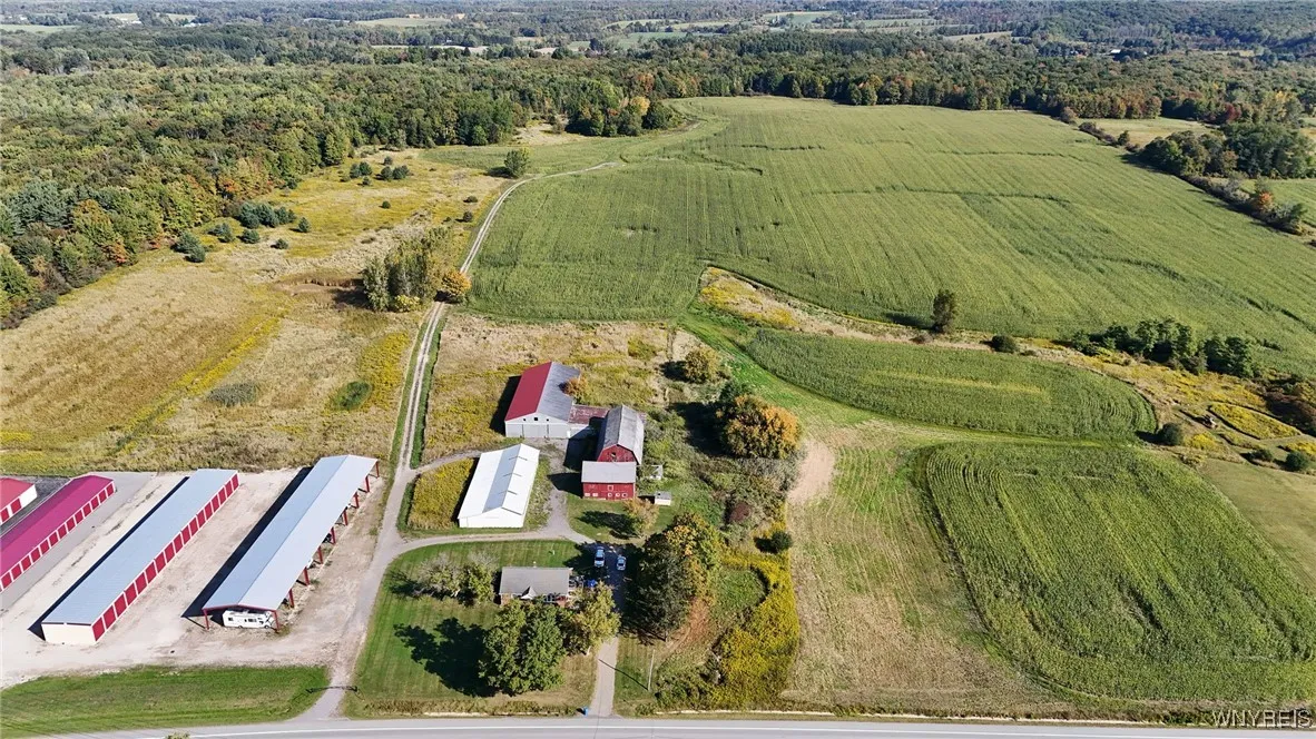 13050 Big Tree Rd Road, Wales, New York 14052, Wales, New York 14052, 4 Bedrooms Bedrooms, 7 Rooms Rooms,1 BathroomBathrooms,Residential,For Sale,13050 Big Tree Rd Road, Wales, New York 14052,0,B1645316