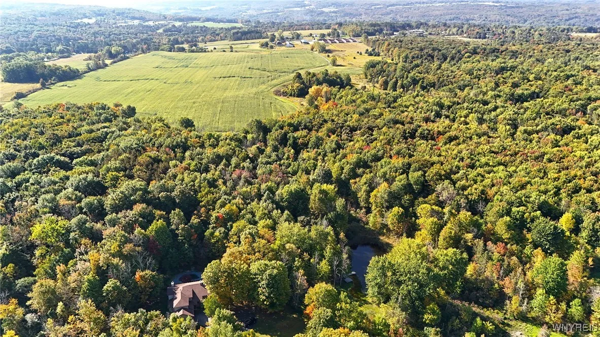 13050 Big Tree Rd Road, Wales, New York 14052, Wales, New York 14052, 4 Bedrooms Bedrooms, ,1 BathroomBathrooms,Land,For Sale,13050 Big Tree Rd Road, Wales, New York 14052,0,B1645741