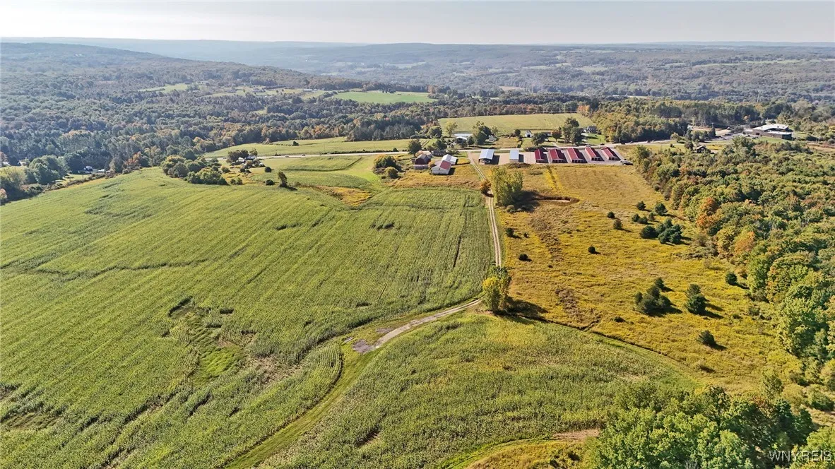 13050 Big Tree Rd Road, Wales, New York 14052, Wales, New York 14052, 4 Bedrooms Bedrooms, ,1 BathroomBathrooms,Land,For Sale,13050 Big Tree Rd Road, Wales, New York 14052,0,B1645741