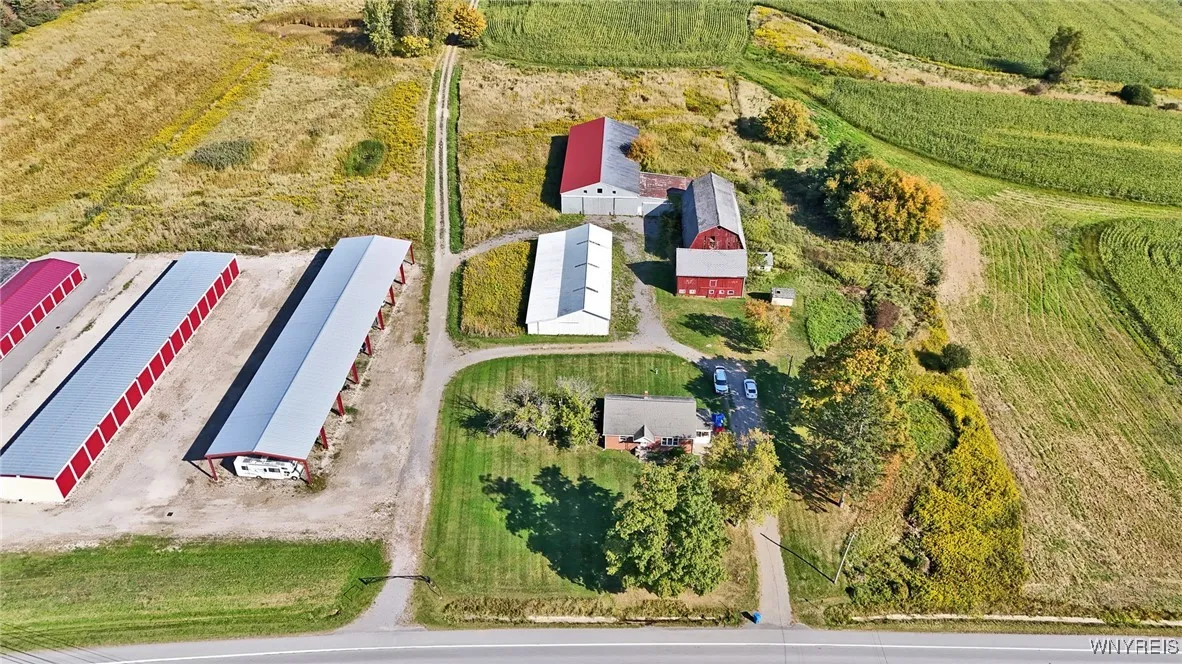 13050 Big Tree Rd Road, Wales, New York 14052, Wales, New York 14052, 4 Bedrooms Bedrooms, ,1 BathroomBathrooms,Land,For Sale,13050 Big Tree Rd Road, Wales, New York 14052,0,B1645741