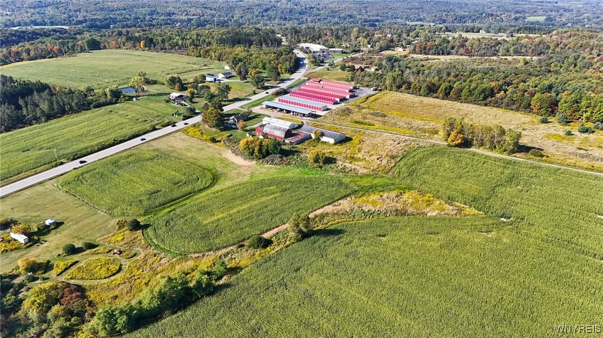 13050 Big Tree Rd Road, Wales, New York 14052, Wales, New York 14052, 4 Bedrooms Bedrooms, ,1 BathroomBathrooms,Land,For Sale,13050 Big Tree Rd Road, Wales, New York 14052,0,B1645741