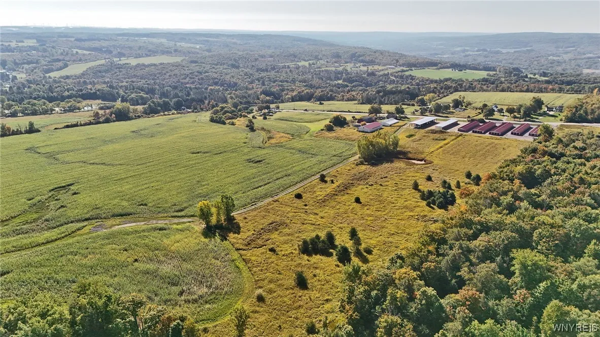 13050 Big Tree Rd Road, Wales, New York 14052, Wales, New York 14052, 4 Bedrooms Bedrooms, ,1 BathroomBathrooms,Land,For Sale,13050 Big Tree Rd Road, Wales, New York 14052,0,B1645741