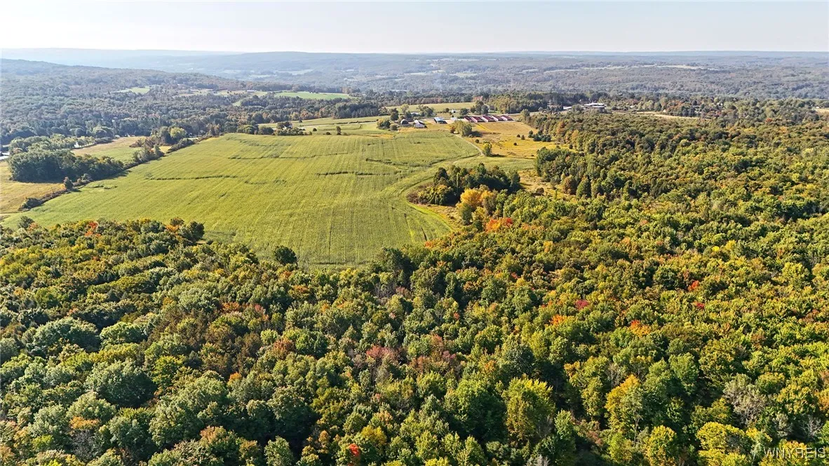 13050 Big Tree Rd Road, Wales, New York 14052, Wales, New York 14052, 4 Bedrooms Bedrooms, ,1 BathroomBathrooms,Land,For Sale,13050 Big Tree Rd Road, Wales, New York 14052,0,B1645741