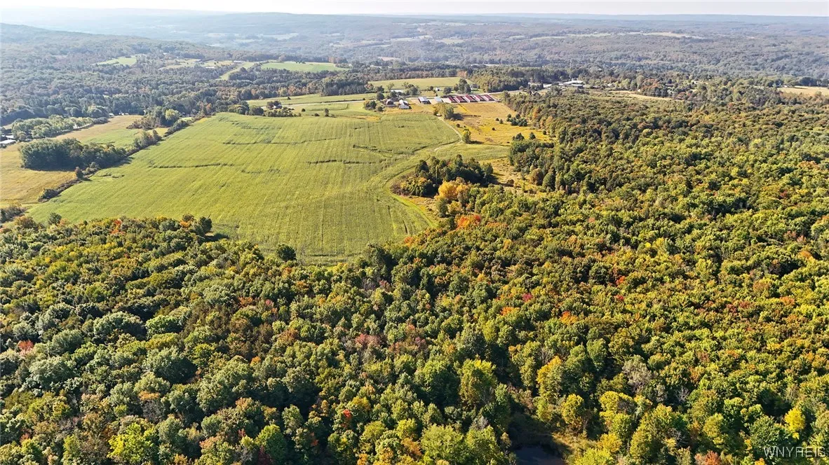 13050 Big Tree Rd Road, Wales, New York 14052, Wales, New York 14052, 4 Bedrooms Bedrooms, ,1 BathroomBathrooms,Land,For Sale,13050 Big Tree Rd Road, Wales, New York 14052,0,B1645741