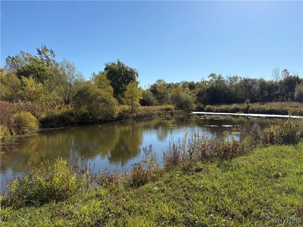 5343 Berry Road, Pomfret, New York 14063, Pomfret, New York 14063, 2 Bedrooms Bedrooms, 5 Rooms Rooms,1 BathroomBathrooms,Residential,Closed,5343 Berry Road, Pomfret, New York 14063,0,B1645753