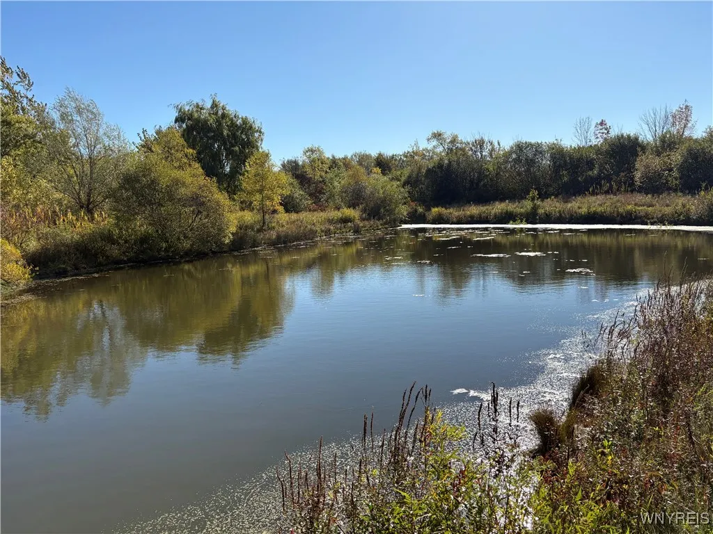 5343 Berry Road, Pomfret, New York 14063, Pomfret, New York 14063, 2 Bedrooms Bedrooms, 5 Rooms Rooms,1 BathroomBathrooms,Residential,Closed,5343 Berry Road, Pomfret, New York 14063,0,B1645753