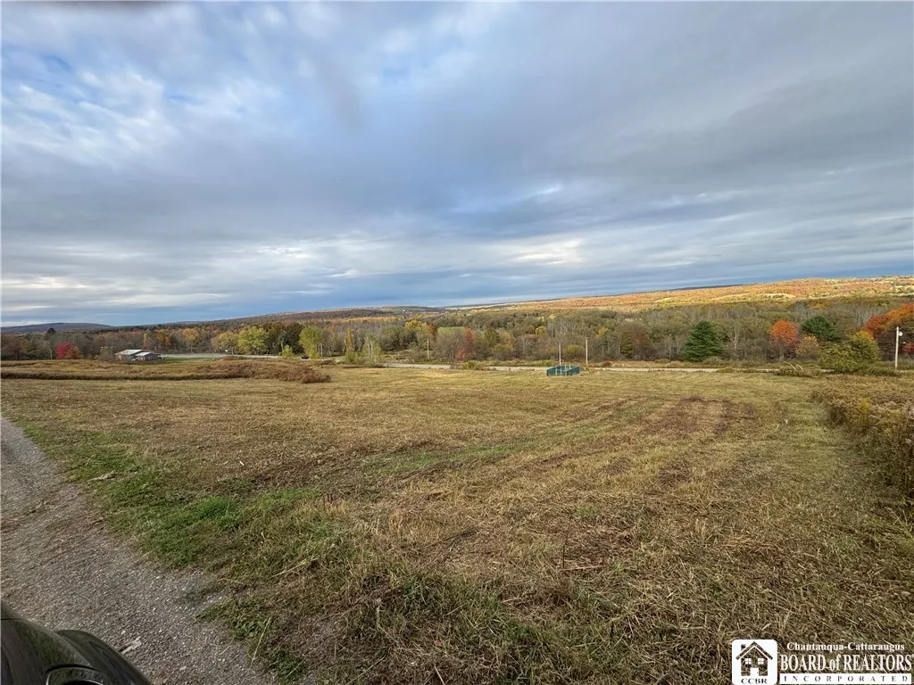 V/l Kimballstand-stockton, Ellery, New York 14782, Ellery, New York 14782, ,Land,For Sale,V/l Kimballstand-stockton, Ellery, New York 14782,0,R1645754
