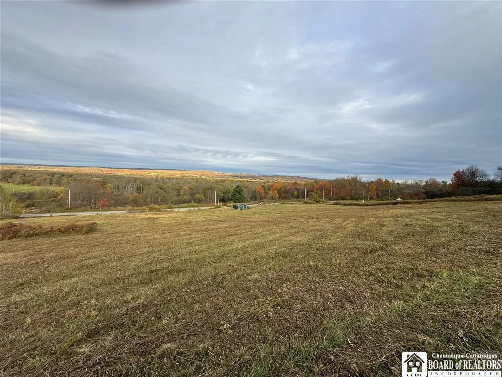 V/l Kimballstand-stockton, Ellery, New York 14782, Ellery, New York 14782, ,Land,For Sale,V/l Kimballstand-stockton, Ellery, New York 14782,0,R1645754