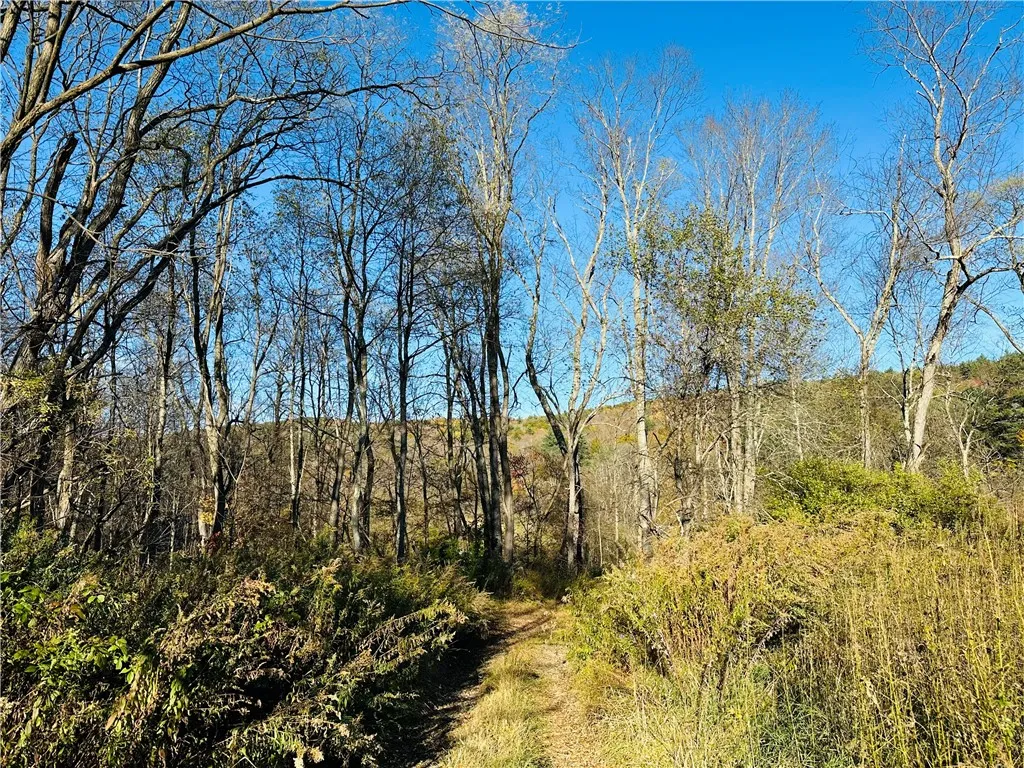 276 County Road 38, Bainbridge, New York 13733, Bainbridge, New York 13733, 2 Bedrooms Bedrooms, 5 Rooms Rooms,1 BathroomBathrooms,Residential,For Sale,276 County Road 38, Bainbridge, New York 13733,0,R1645756