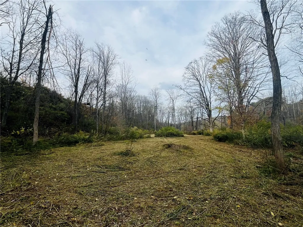 276 County Road 38, Bainbridge, New York 13733, Bainbridge, New York 13733, 2 Bedrooms Bedrooms, 5 Rooms Rooms,1 BathroomBathrooms,Residential,For Sale,276 County Road 38, Bainbridge, New York 13733,0,R1645756
