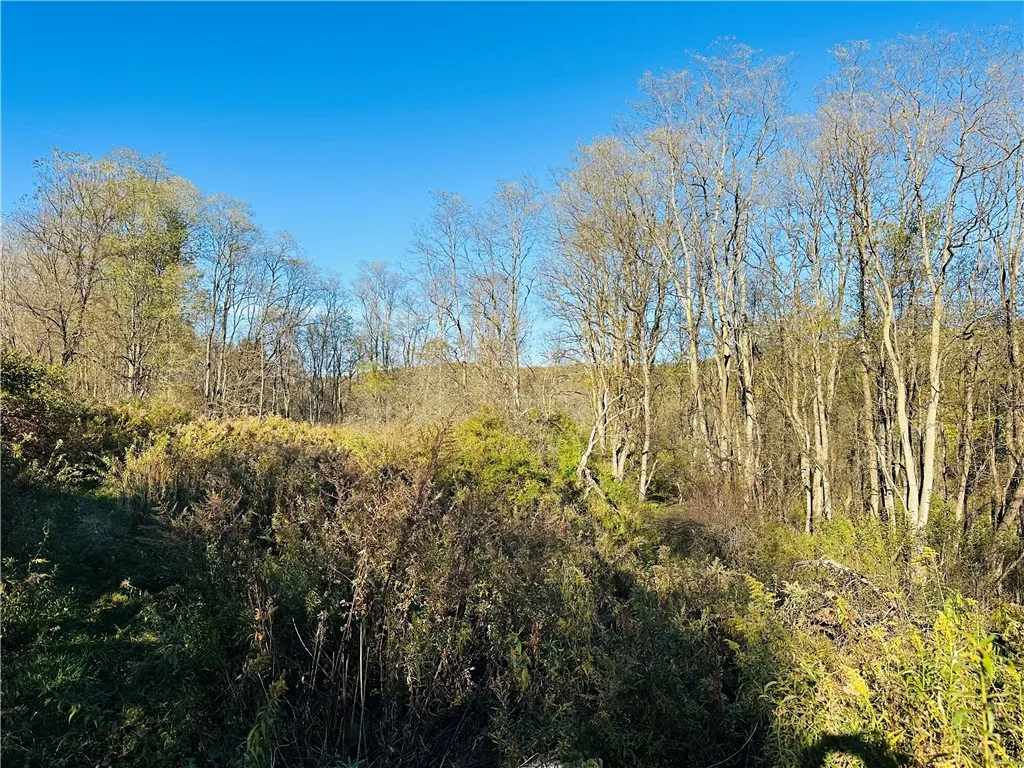 276 County Road 38, Bainbridge, New York 13733, Bainbridge, New York 13733, 2 Bedrooms Bedrooms, 5 Rooms Rooms,1 BathroomBathrooms,Residential,For Sale,276 County Road 38, Bainbridge, New York 13733,0,R1645756