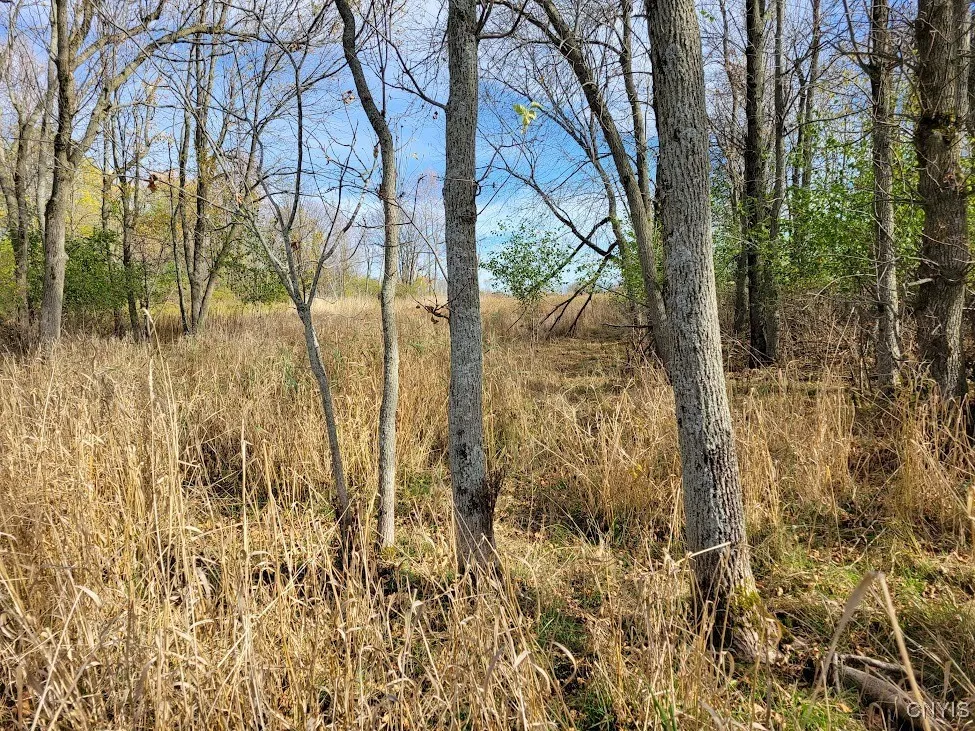 Cr-125, Lyme, New York 13622, Lyme, New York 13622, ,Land,Closed,Cr-125, Lyme, New York 13622,0,S1645552