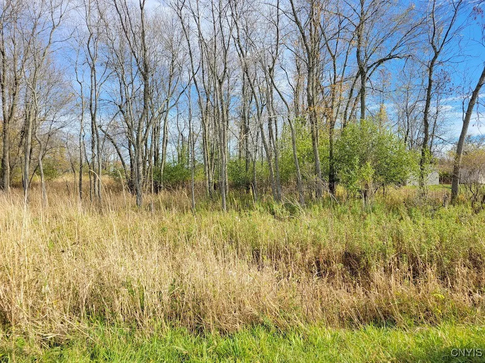 Cr-125, Lyme, New York 13622, Lyme, New York 13622, ,Land,Closed,Cr-125, Lyme, New York 13622,0,S1645552