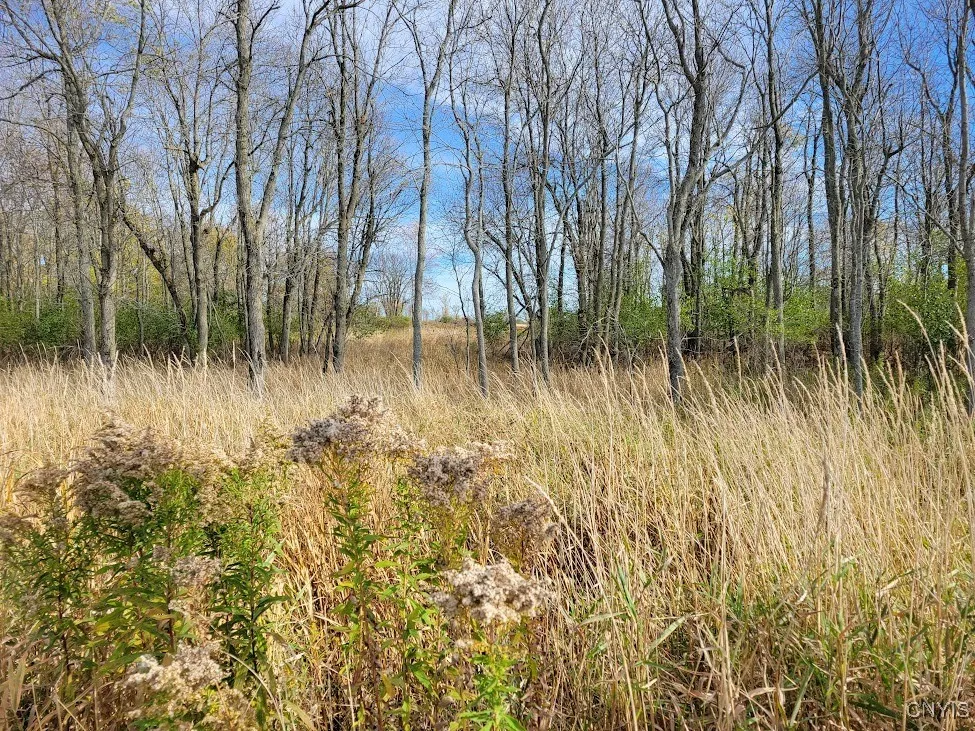 Cr-125, Lyme, New York 13622, Lyme, New York 13622, ,Land,Closed,Cr-125, Lyme, New York 13622,0,S1645552