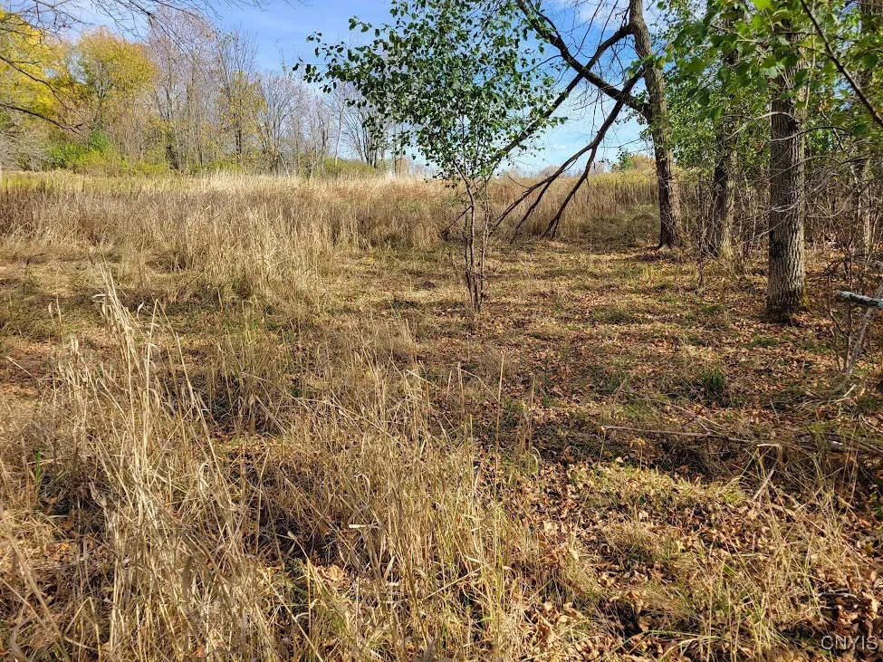 Cr-125, Lyme, New York 13622, Lyme, New York 13622, ,Land,Closed,Cr-125, Lyme, New York 13622,0,S1645552