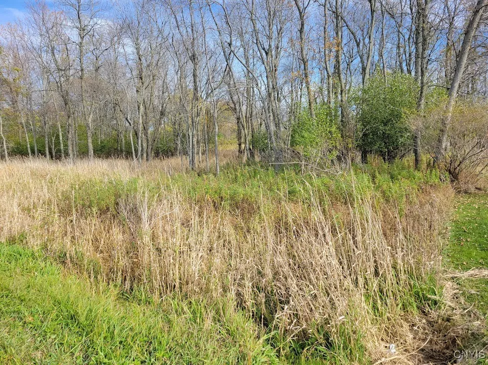 Cr-125, Lyme, New York 13622, Lyme, New York 13622, ,Land,Closed,Cr-125, Lyme, New York 13622,0,S1645552