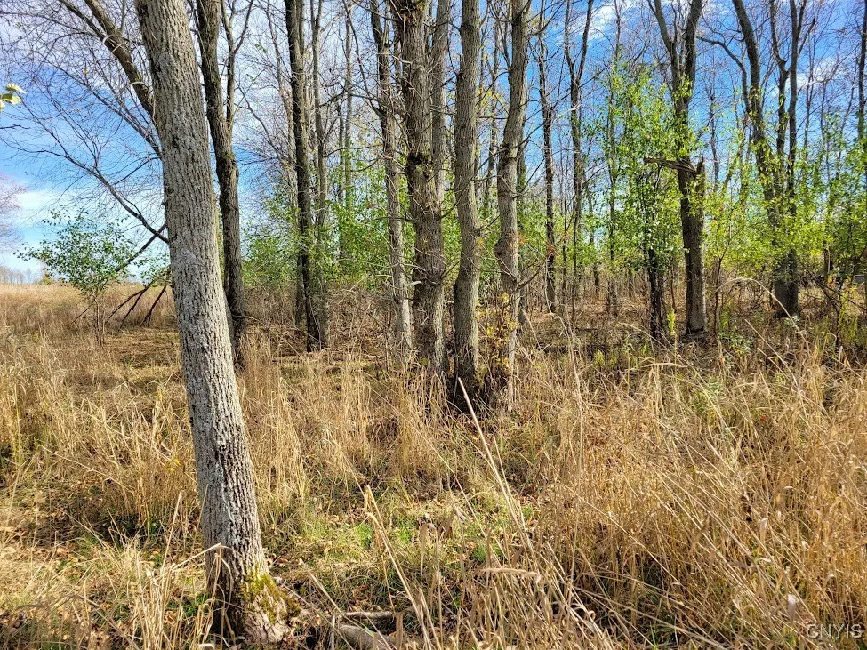 Cr-125, Lyme, New York 13622, Lyme, New York 13622, ,Land,Closed,Cr-125, Lyme, New York 13622,0,S1645552