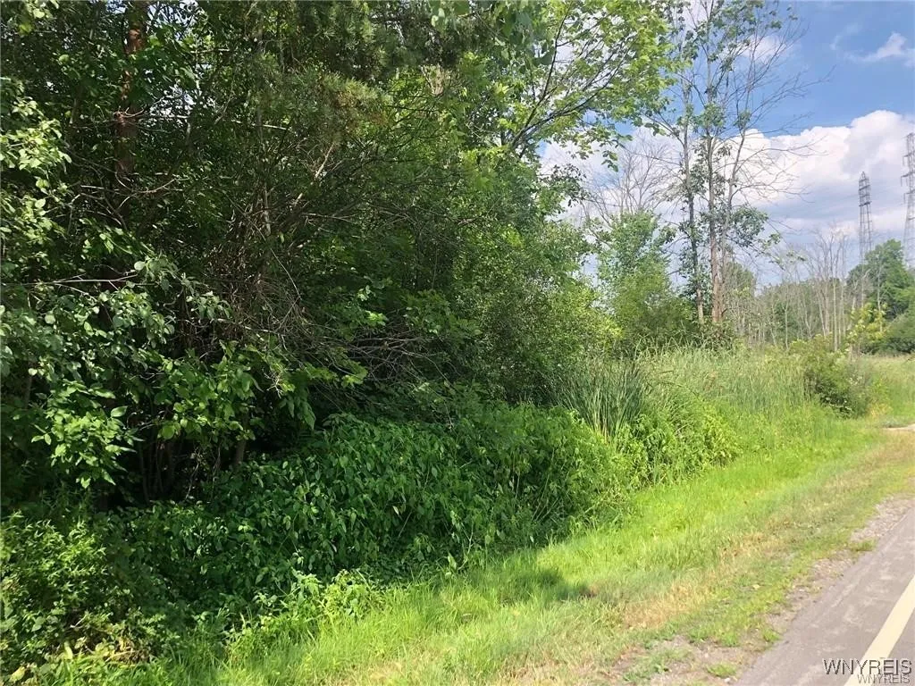 Vl East River, Grand Island, New York 14072, Grand Island, New York 14072, ,Land,Closed,Vl East River, Grand Island, New York 14072,0,B1643061