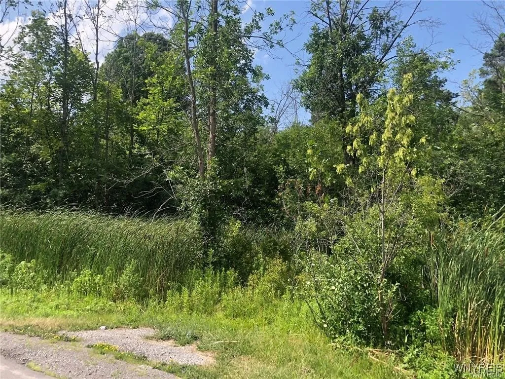 Vl East River, Grand Island, New York 14072, Grand Island, New York 14072, ,Land,Closed,Vl East River, Grand Island, New York 14072,0,B1643061