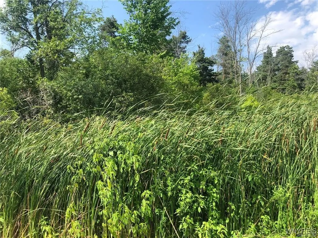 Vl East River, Grand Island, New York 14072, Grand Island, New York 14072, ,Land,Closed,Vl East River, Grand Island, New York 14072,0,B1643061