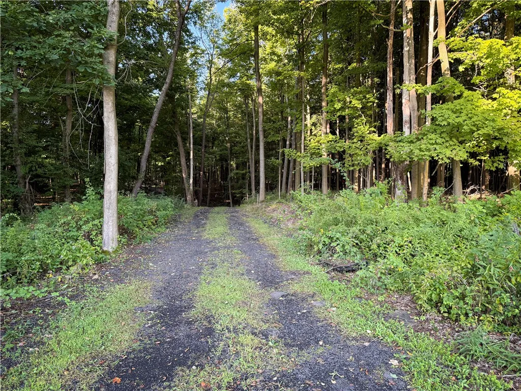 4040 County Road 141, Covert, New York 14847, Covert, New York 14847, 3 Bedrooms Bedrooms, 10 Rooms Rooms,2 BathroomsBathrooms,Residential,For Sale,4040 County Road 141, Covert, New York 14847,0,R1645832