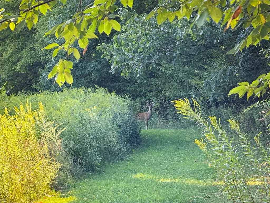 4040 County Road 141, Covert, New York 14847, Covert, New York 14847, 3 Bedrooms Bedrooms, 10 Rooms Rooms,2 BathroomsBathrooms,Residential,For Sale,4040 County Road 141, Covert, New York 14847,0,R1645832