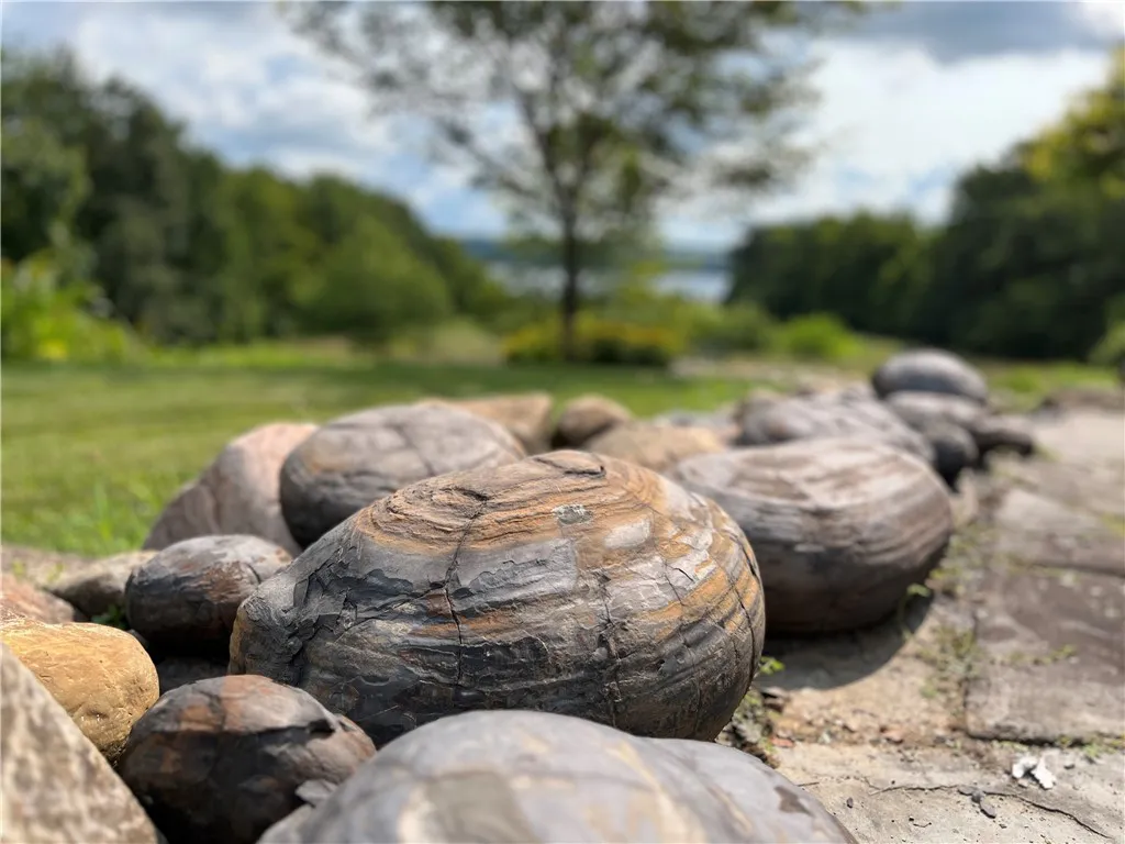 4040 County Road 141, Covert, New York 14847, Covert, New York 14847, 3 Bedrooms Bedrooms, 10 Rooms Rooms,2 BathroomsBathrooms,Residential,For Sale,4040 County Road 141, Covert, New York 14847,0,R1645832