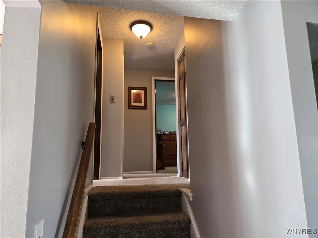 4939 Tim Tam, Hamburg, New York 14219, Hamburg, New York 14219, 4 Bedrooms Bedrooms, 11 Rooms Rooms,2 BathroomsBathrooms,Residential,For Sale,4939 Tim Tam, Hamburg, New York 14219,0,B1645811