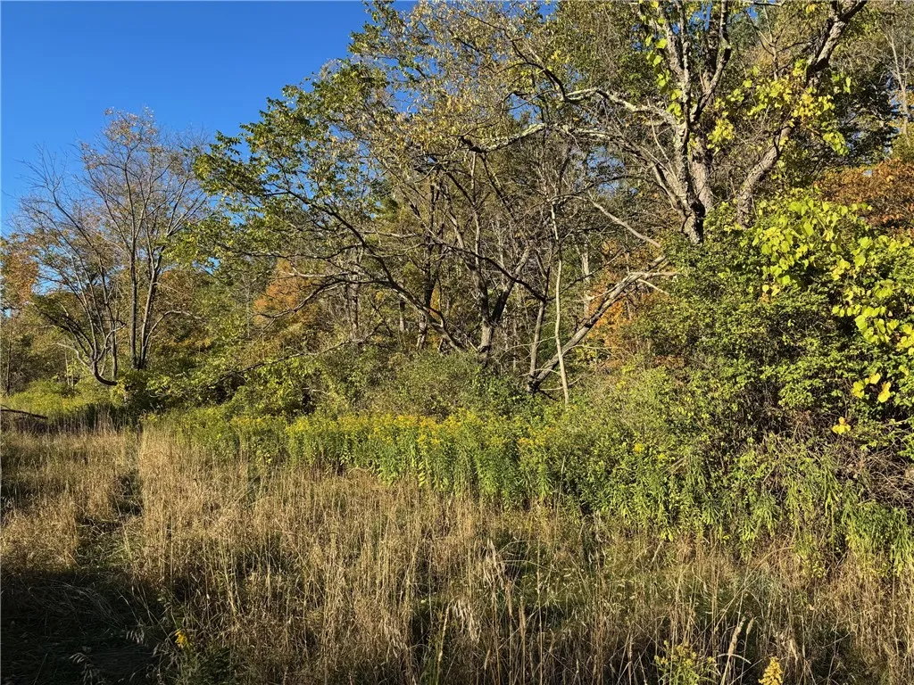 37137 23, Roxbury, New York 12474, Roxbury, New York 12474, 7 Bedrooms Bedrooms, ,4 BathroomsBathrooms,Residential,For Sale,37137 23, Roxbury, New York 12474,0,R1644141