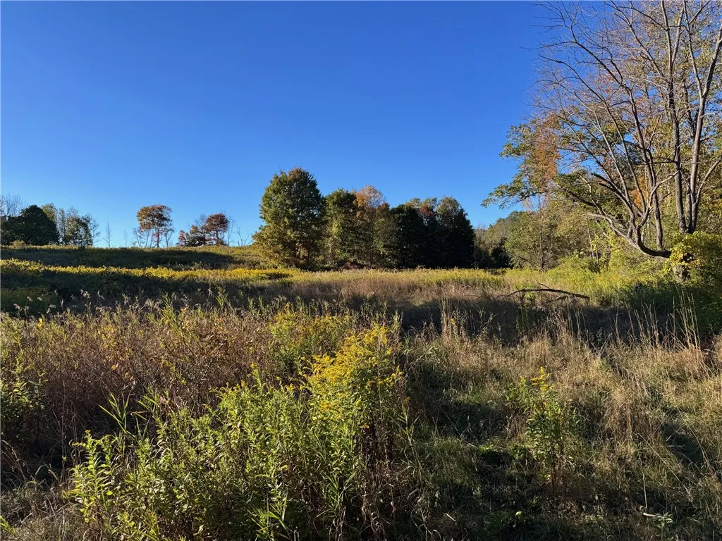37137 23, Roxbury, New York 12474, Roxbury, New York 12474, 7 Bedrooms Bedrooms, ,4 BathroomsBathrooms,Residential,For Sale,37137 23, Roxbury, New York 12474,0,R1644141