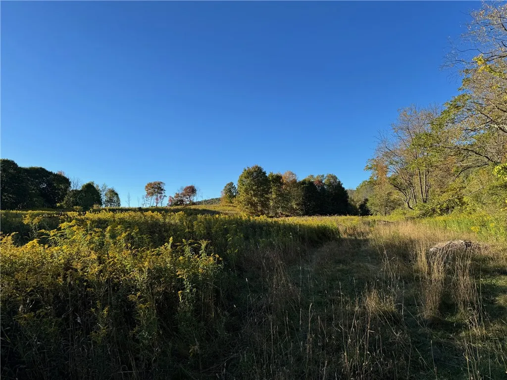 37137 23, Roxbury, New York 12474, Roxbury, New York 12474, 7 Bedrooms Bedrooms, ,4 BathroomsBathrooms,Residential,For Sale,37137 23, Roxbury, New York 12474,0,R1644141