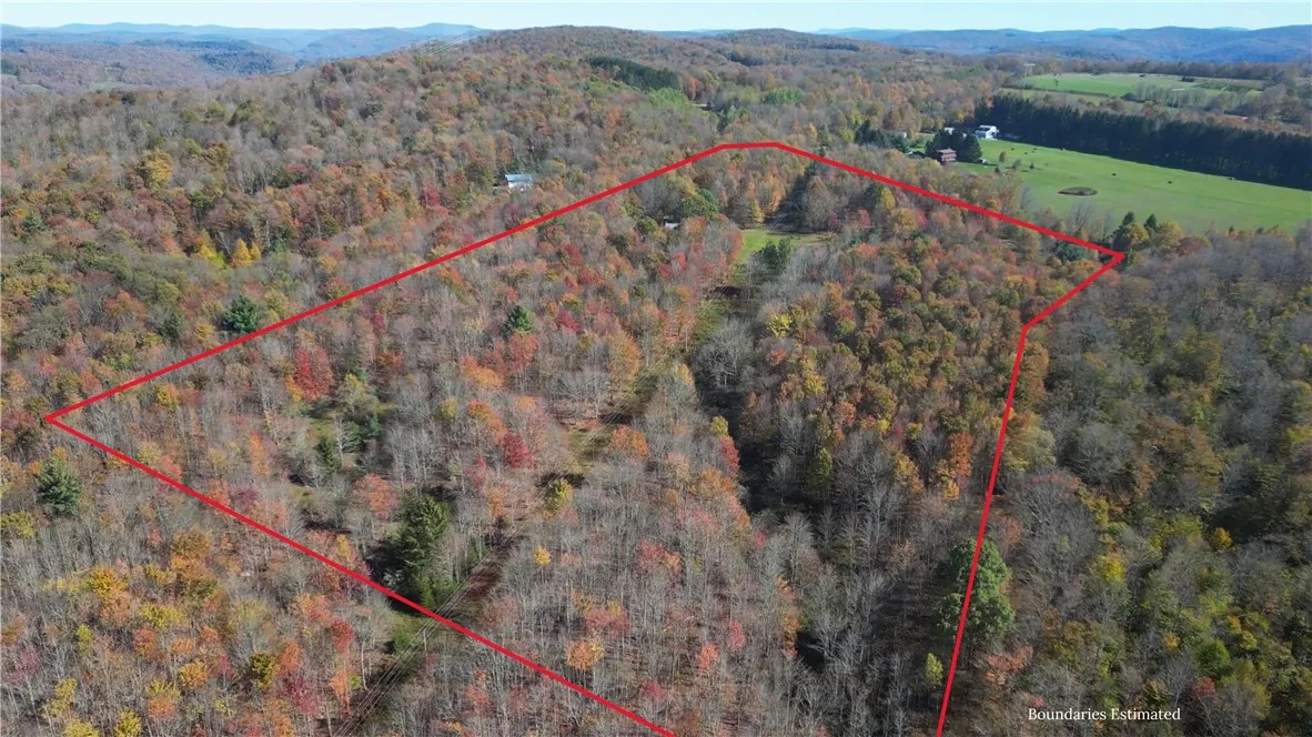 1135 Ridge Road, Hamden, New York 13782, Hamden, New York 13782, 3 Bedrooms Bedrooms, 8 Rooms Rooms,1 BathroomBathrooms,Residential,For Sale,1135 Ridge Road, Hamden, New York 13782,0,R1642556