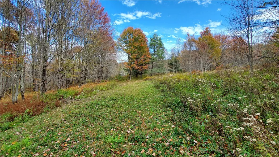 1135 Ridge Road, Hamden, New York 13782, Hamden, New York 13782, 3 Bedrooms Bedrooms, 8 Rooms Rooms,1 BathroomBathrooms,Residential,For Sale,1135 Ridge Road, Hamden, New York 13782,0,R1642556