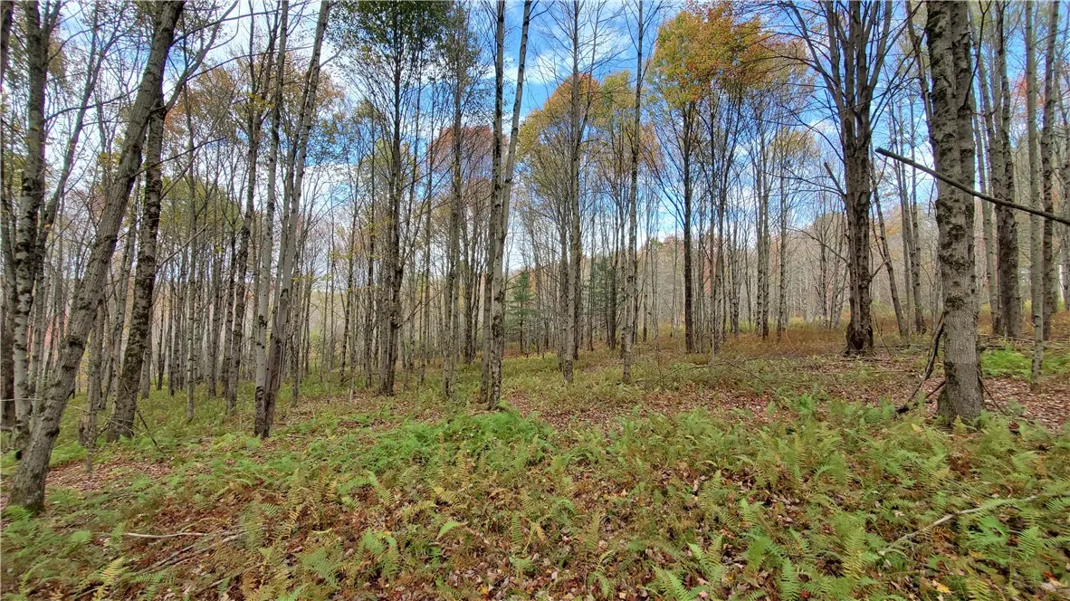 1135 Ridge Road, Hamden, New York 13782, Hamden, New York 13782, 3 Bedrooms Bedrooms, 8 Rooms Rooms,1 BathroomBathrooms,Residential,For Sale,1135 Ridge Road, Hamden, New York 13782,0,R1642556