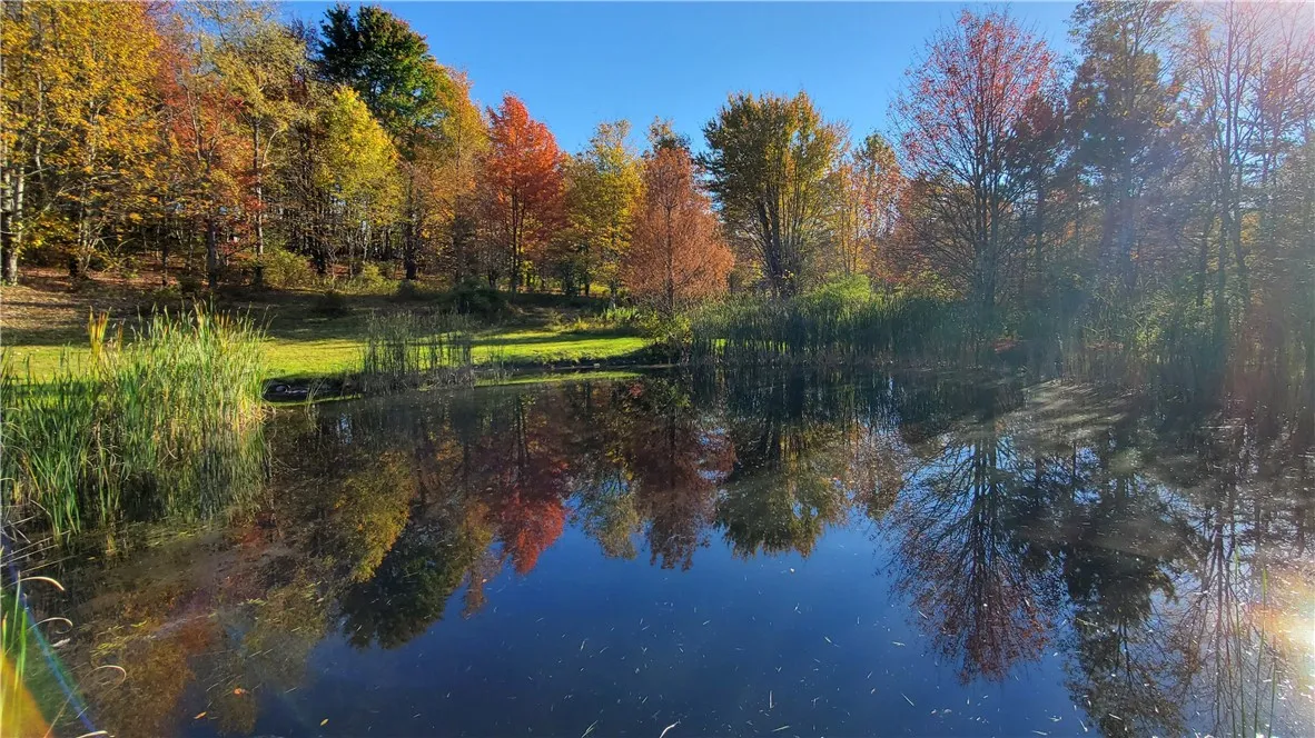 1135 Ridge Road, Hamden, New York 13782, Hamden, New York 13782, 3 Bedrooms Bedrooms, 8 Rooms Rooms,1 BathroomBathrooms,Residential,For Sale,1135 Ridge Road, Hamden, New York 13782,0,R1642556