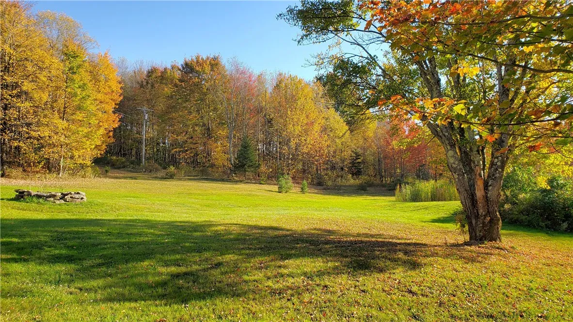 1135 Ridge Road, Hamden, New York 13782, Hamden, New York 13782, 3 Bedrooms Bedrooms, 8 Rooms Rooms,1 BathroomBathrooms,Residential,For Sale,1135 Ridge Road, Hamden, New York 13782,0,R1642556