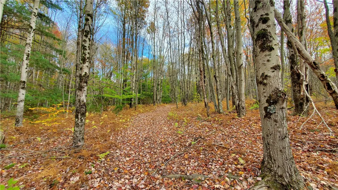 1135 Ridge Road, Hamden, New York 13782, Hamden, New York 13782, 3 Bedrooms Bedrooms, 8 Rooms Rooms,1 BathroomBathrooms,Residential,For Sale,1135 Ridge Road, Hamden, New York 13782,0,R1642556