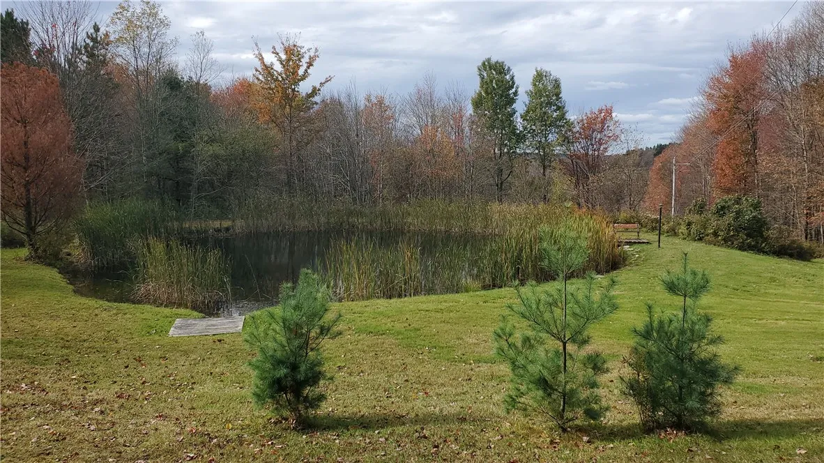 1135 Ridge Road, Hamden, New York 13782, Hamden, New York 13782, 3 Bedrooms Bedrooms, 8 Rooms Rooms,1 BathroomBathrooms,Residential,For Sale,1135 Ridge Road, Hamden, New York 13782,0,R1642556